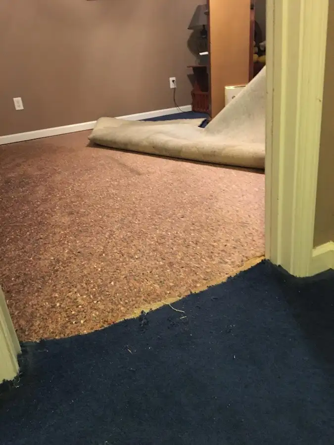 Carpet pad removal revealing water damage during Drying & Dehumidification in Nicholasville