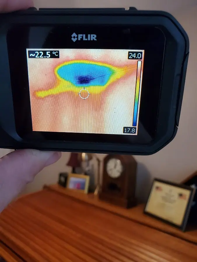 Thermal imaging inspection for water damage in Nicholasville