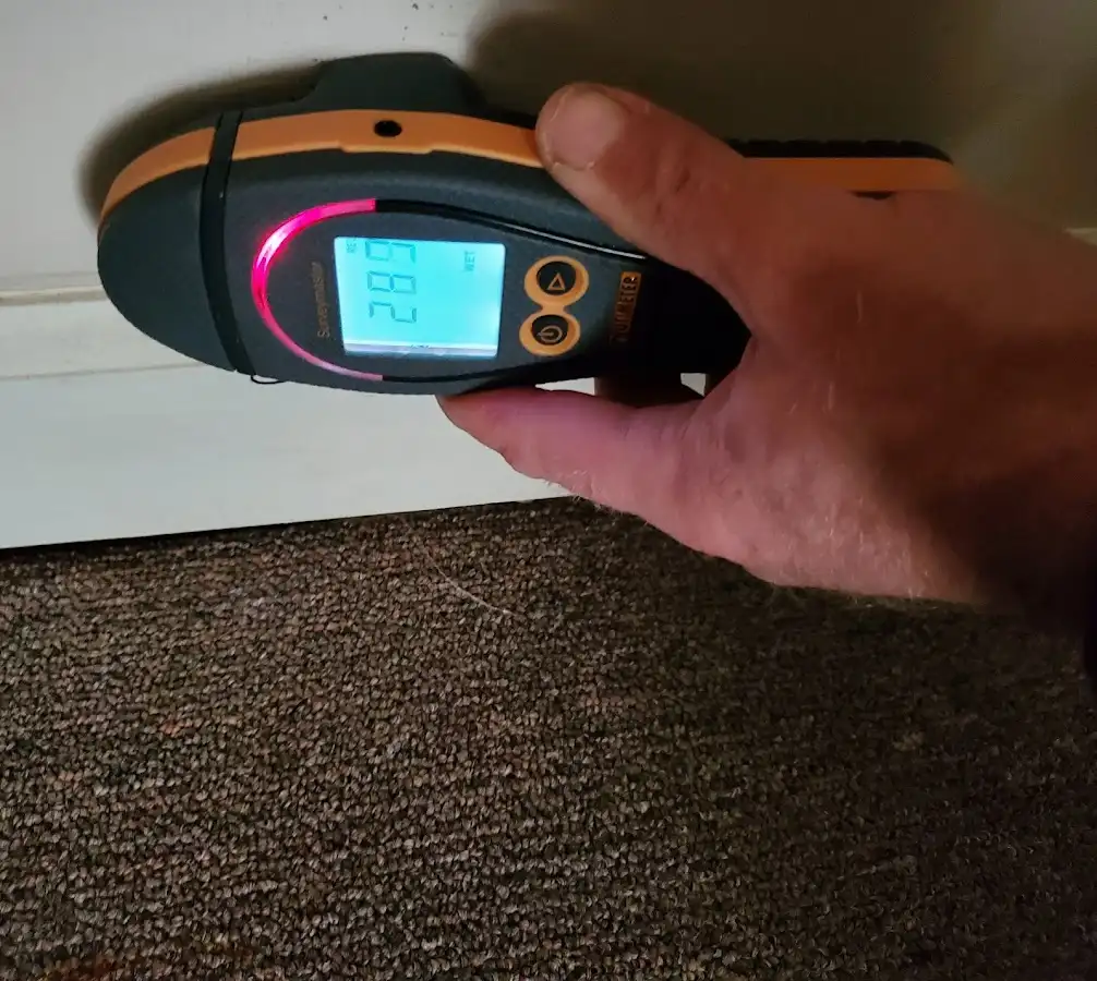 Moisture detection at baseboard during Mold Inspection & Testing in Nicholasville